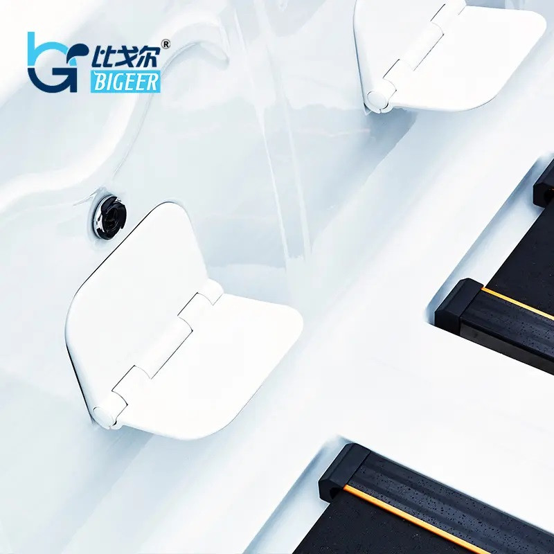 Бассейн с беговой дорожкой Bigeer Донна (рис.1)